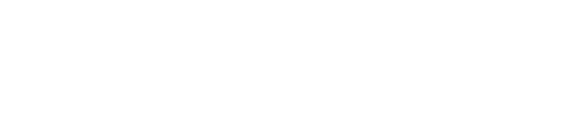 Influencer Management