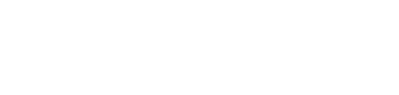 Influencer Management